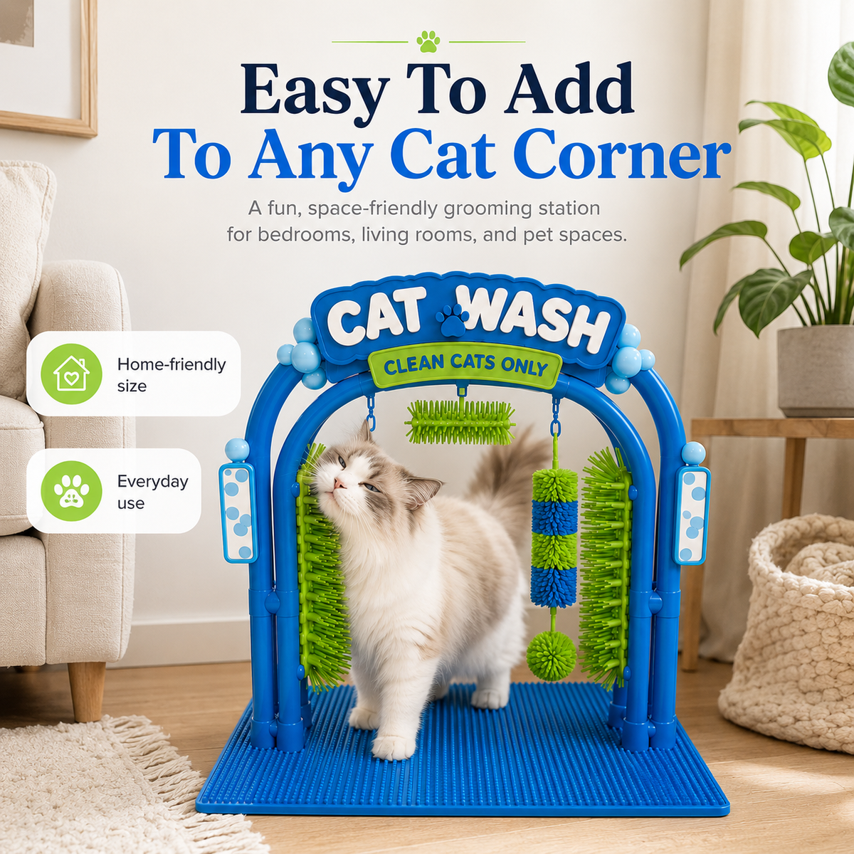 🐱The Cat Wash