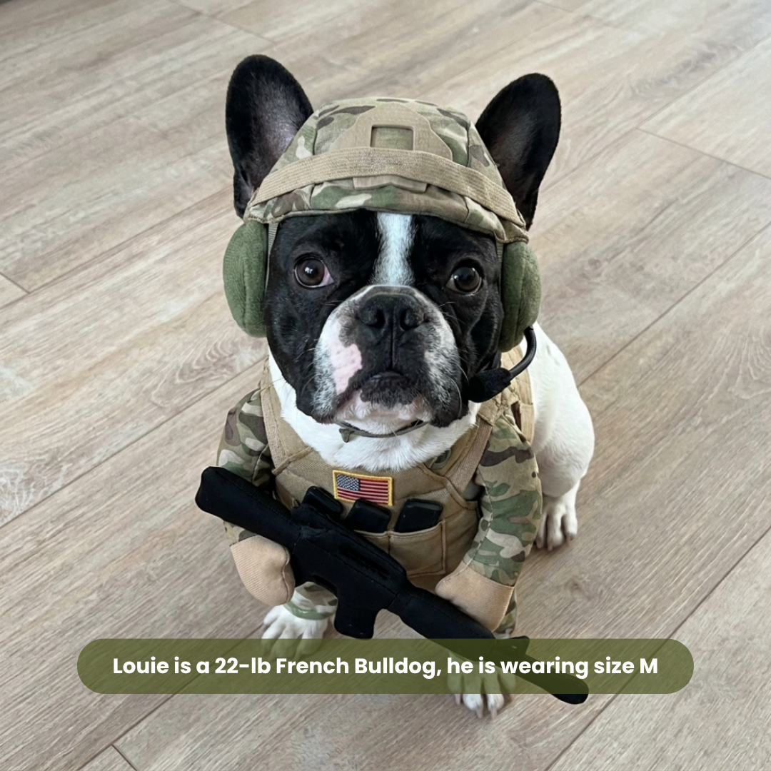 ✨ Limited-Time 50% OFF 🐕Pet Tactical Soldier Uniform