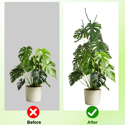 🌿 6-Pack Stackable Monstera Plant Support – Extendable Climbing Moss Poles