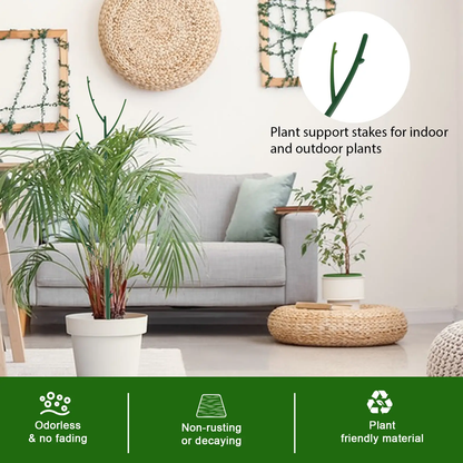 🌿 6-Pack Stackable Monstera Plant Support – Extendable Climbing Moss Poles