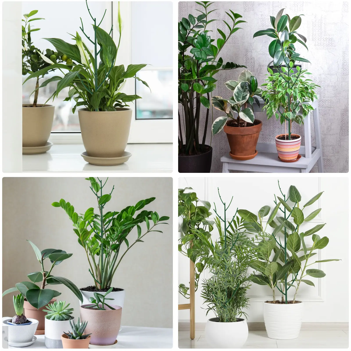 🌿 6-Pack Stackable Monstera Plant Support – Extendable Climbing Moss Poles