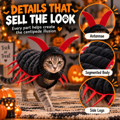 🐛Halloween Cat And Centipede Costume