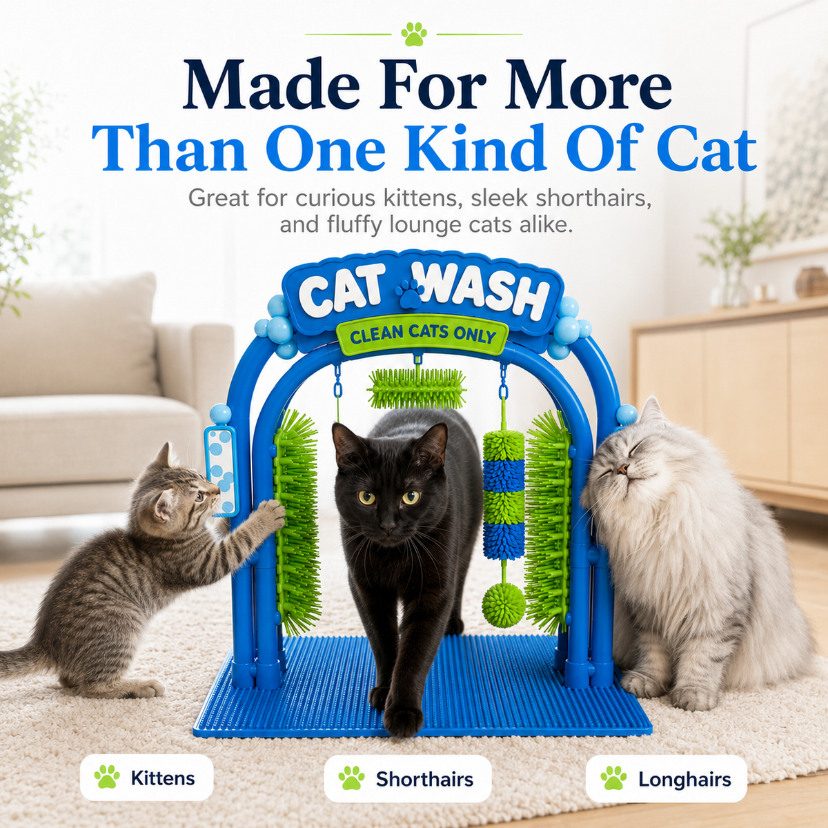 🐱The Cat Wash
