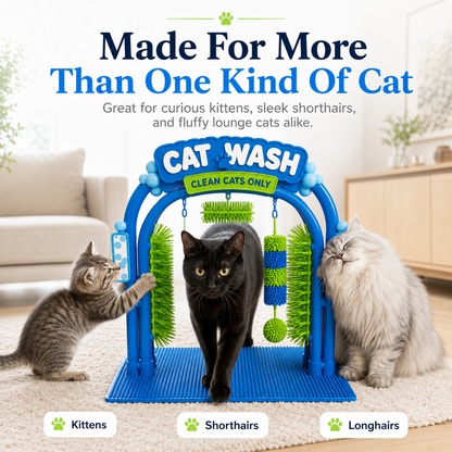 🐱The Cat Wash