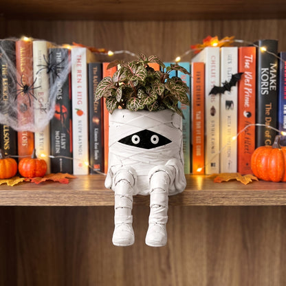 👻Halloween succulent pots