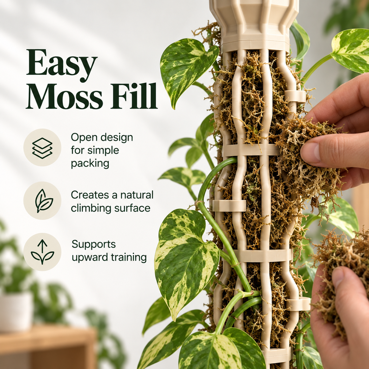 🪴Stackable Climbing Plant Support Pole – Vine Clips, Moss Fill & Top Watering Design