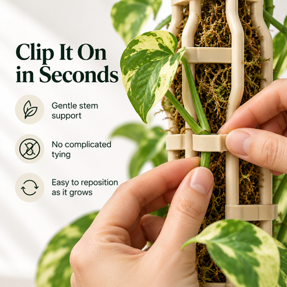 🪴Stackable Climbing Plant Support Pole – Vine Clips, Moss Fill & Top Watering Design