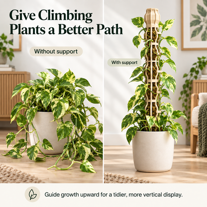 Stackable Climbing Plant Support Pole – Vine Clips, Moss Fill & Top Watering Design
