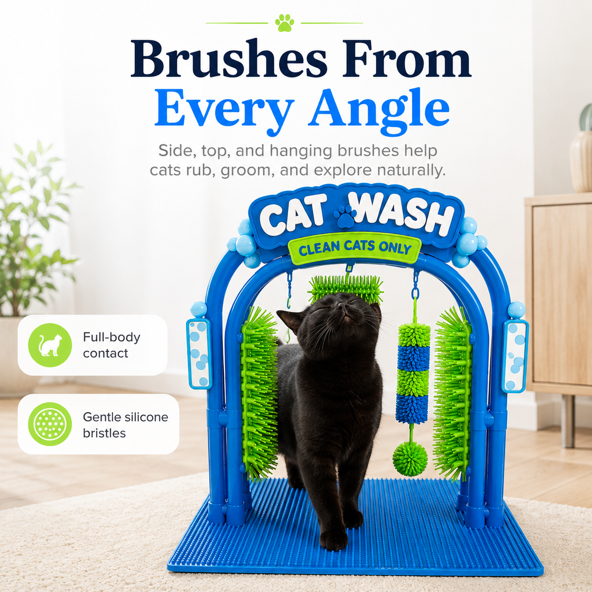 🐱The Cat Wash