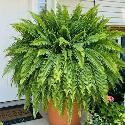 ☀️ Glowing Artificial Boston Fern – Zero-Watering Lighted Porch & Home Decor