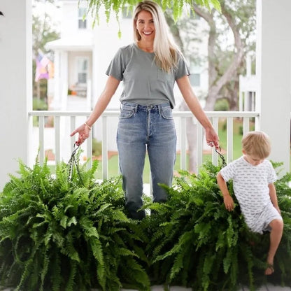 ☀️ Glowing Artificial Boston Fern – Zero-Watering Lighted Porch & Home Decor